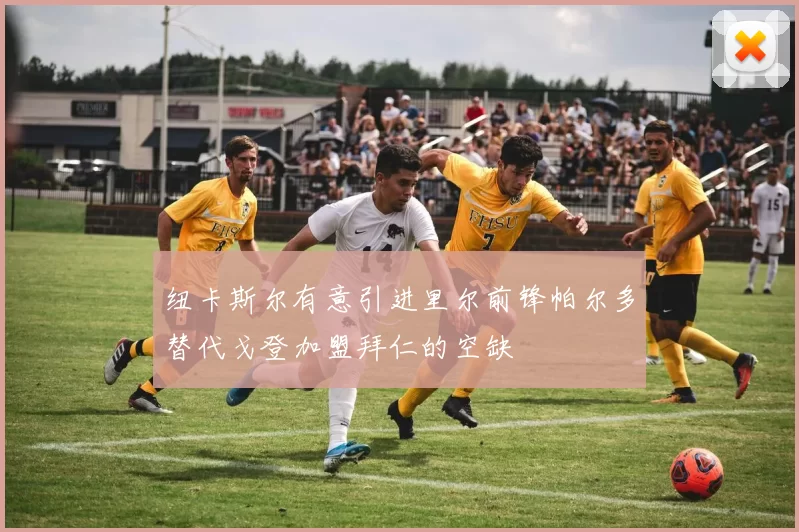 纽卡斯尔有意引进里尔前锋帕尔多替代戈登加盟拜仁的空缺
