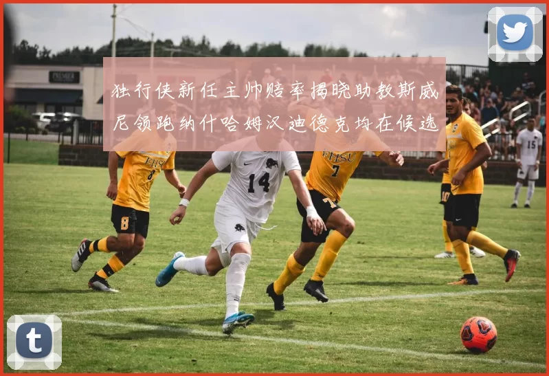 独行侠新任主帅赔率揭晓助教斯威尼领跑纳什哈姆汉迪德克均在候选之中