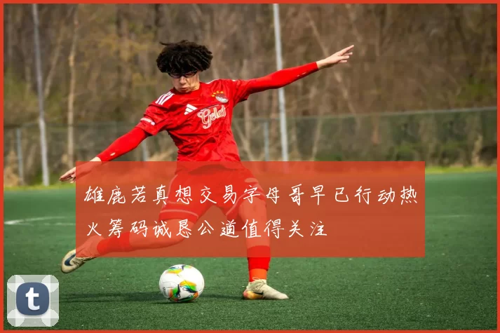 雄鹿若真想交易字母哥早已行动热火筹码诚恳公道值得关注